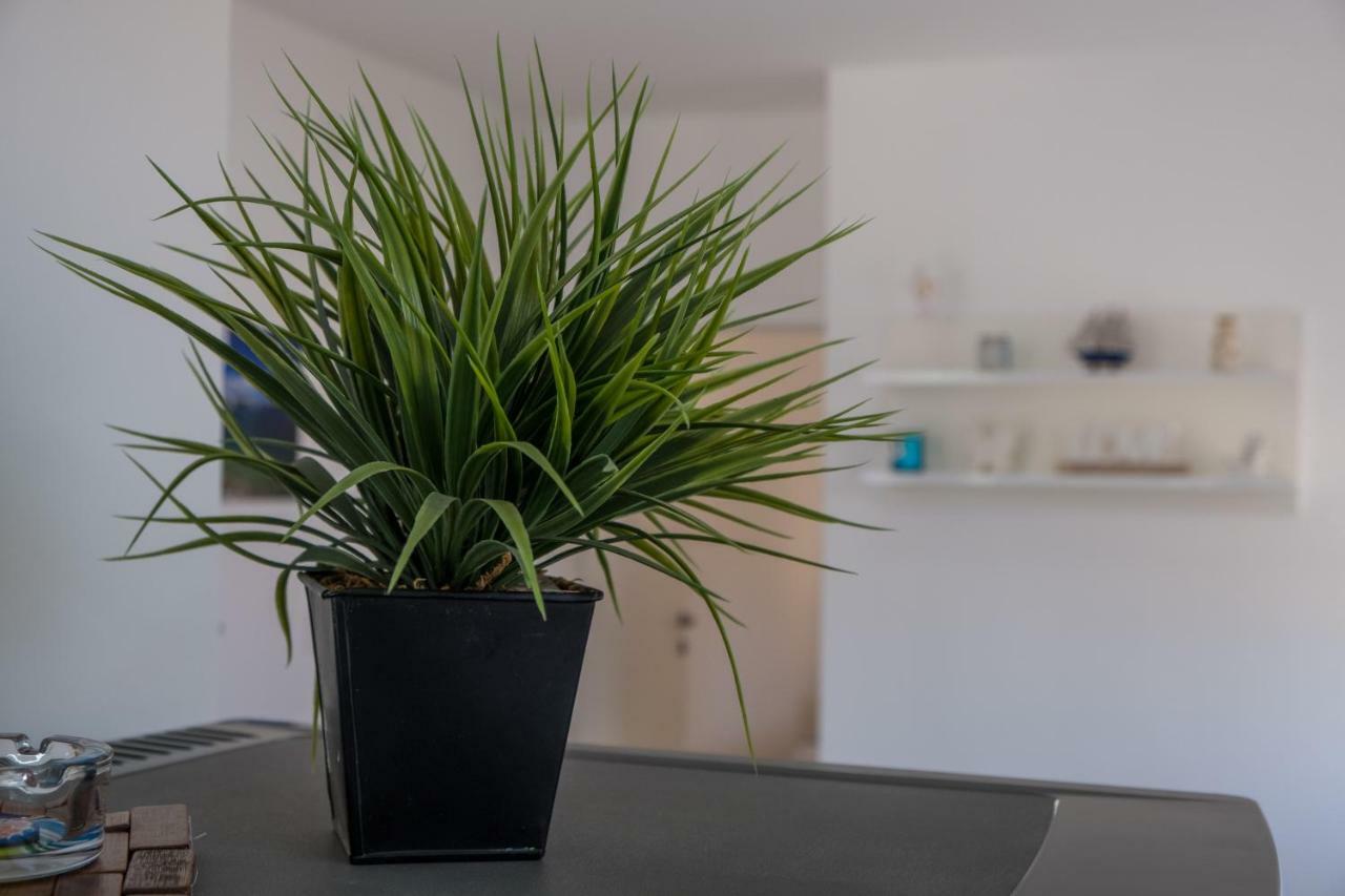 Apartman Filip Mali Lošinj Dış mekan fotoğraf